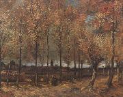Vincent Van Gogh Lane with Poplars (nn04) oil painting